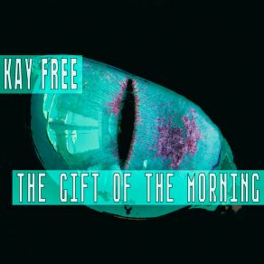 Download track The Gift Of The Morning (Live Mix) Kay Free