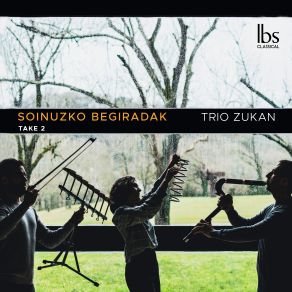 Download track Desprendida Voz Trio Zukan