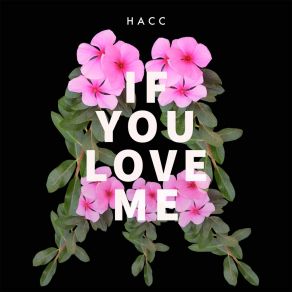 Download track If You Love Me (Extended Mix) Hacc