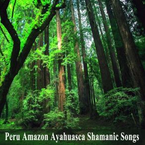 Download track Más Allá Del Sol Naci' Peru Amazon Ayahuasca Shamanic Songs