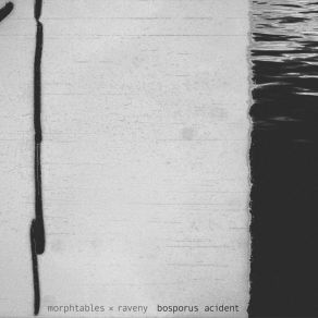 Download track Seabird Perspective Raveny