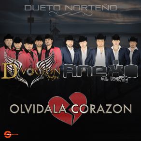 Download track Olvidala Corazon (Dvocion Norteña) Anexo Al Norte