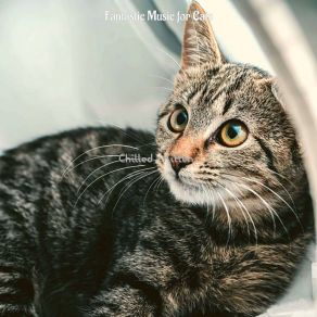 Download track Music (Serene) Fantastic Music For Cats