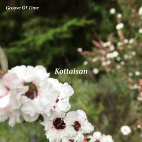 Download track Celebrated Groove Of Time