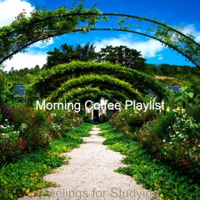 Download track Tranquil Vibe For Working From Home Morning Coffee Playlist