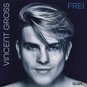 Download track Eine Nacht In Trance Vincent Gross