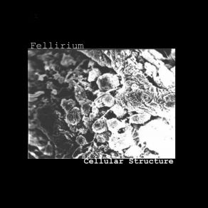 Download track Bacterium Fellirium