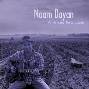 Download track My Little Bird Noam Dayan