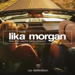 Download track Feel The Same (EDX Dubai Skyline Instrumental Mix) Lika Morgan