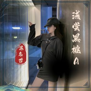 Download track 该释怀了 夫夫子 (DJ 治愈版) 苏名哲