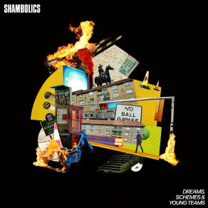 Download track If You Want It Shambolics