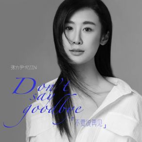 Download track 不要说再见 Zhang Li Yin