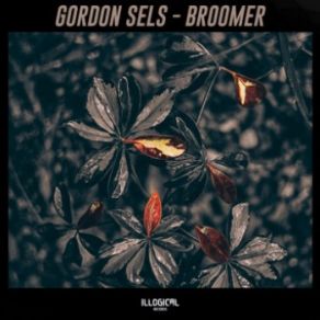Download track Blop (Original Mix) Gordon Sels