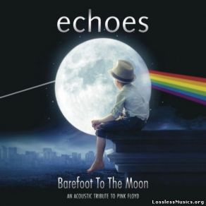 Download track The Happiest Days Of Our Lifes Echoes