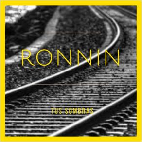 Download track En Nuestras Manos Ronnin