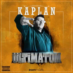 Download track Fırtınalar Kaplan