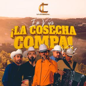 Download track El Alamo (En Vivo) La Cosecha