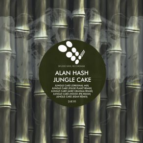 Download track Jungle Cake (Original Mix) Alan Hash