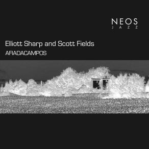 Download track Iconography Of Shame Elliott Sharp, Scott Fields