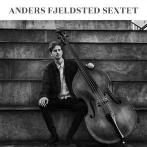 Download track Amphibians Anders Fjeldsted