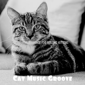 Download track Vivacious Training Your Cat Cat Music Groove