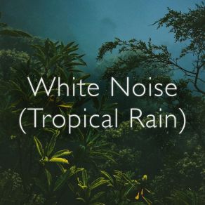 Download track Space Coast Drizzle White Noise Collective