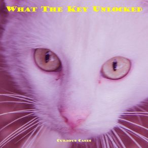 Download track What The Key Unlocked Curious Cases