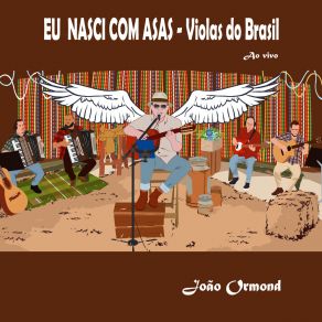 Download track Canto De Paz (Ao Vivo) João Ormond