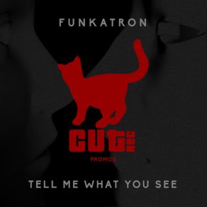 Download track Tell Me What You See (Original Mix) Funkatron