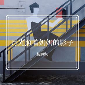 Download track 月光照着奶奶的影子 (深情版) 杨飘飘