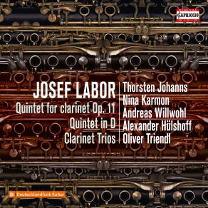 Download track Labor Trio For Clarinet, Cello & Piano Left Hand In E Minor III. Adagio Ma Non Troppo Oliver Triendl