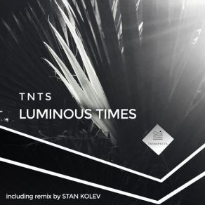 Download track Luminous Times (Original Mix) Stan Kolev, Tnts