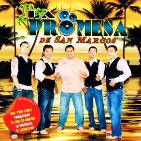 Download track La Golondrina La Promesa De San Marcos