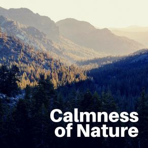 Download track Soundscapes Of Nature Melodies, Pt. 18 Sounds Of Nature Noise