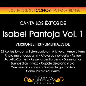 Download track Ay Pena Penita Pena (Instrumental Version) [Originally Performed By Isabel Pantoja] Brava HitMakers