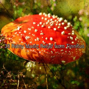 Download track Focus Functional Storm Rain For Deep Sleep