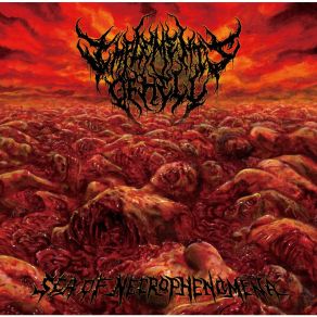 Download track Chainsaw Catheter Implements Of Hell