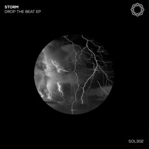 Download track The Cruzer (Original Mix) STORM (TN)