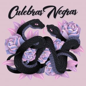 Download track Mucho Mejor Culebras Negras