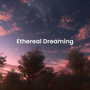 Download track Starry Nightfall Valeria's Dream