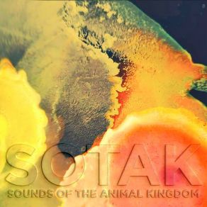 Download track Auk (Hatari Remix) SOTAK (CH)