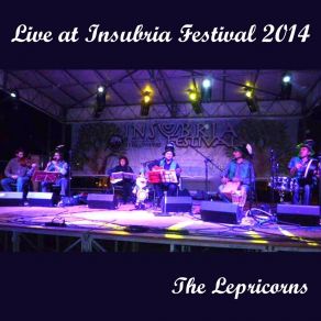 Download track The Foggy Dew (Live) Lepricorns