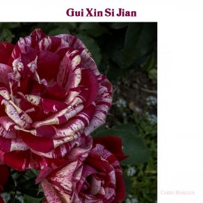 Download track Gui Xin Si Jian Carry Marleen