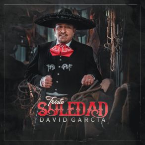 Download track El Carino De Una Madre David Garcia