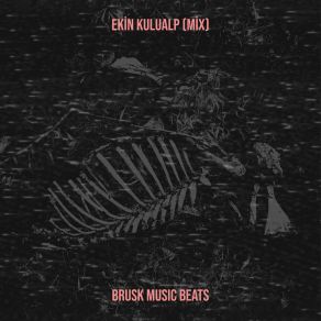 Download track Enjoy Brusk Music BeatsDj Ekin KuluAlp