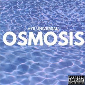 Download track B. O. M. S Aye Universal