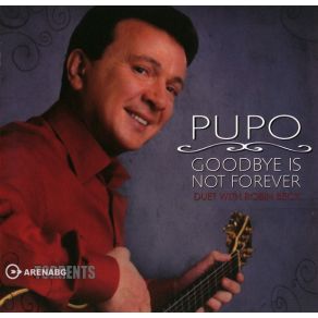 Download track Non E Un Addio - Goodbye Is Not Forever PupoRobin Beck