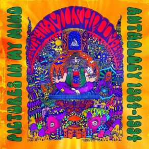 Download track Turban Paranoia Magic Mushroom Band