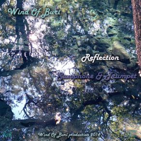 Download track Reflection 4 Wellness PurJordi Lomas