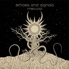 Download track In Transition Echoes And Signals